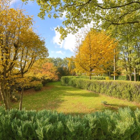 Terrain - 655 m² Exclusivité efficity