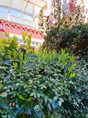 SURESNES le calme parfait Maison bien exposée