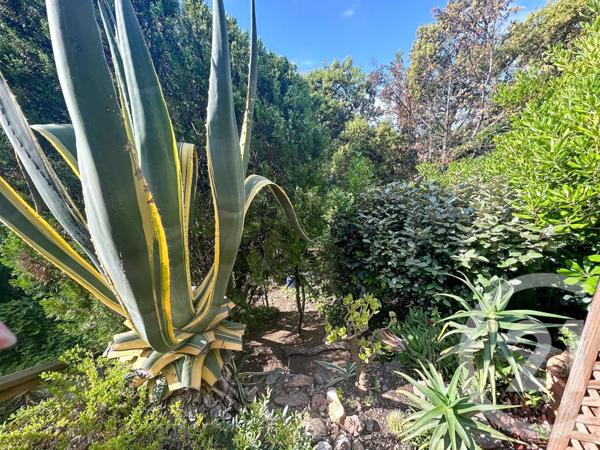 Appartement Studio Cabine à vendre  1 pièce - 30,49 m2 CAVALAIRE SUR MER - 83