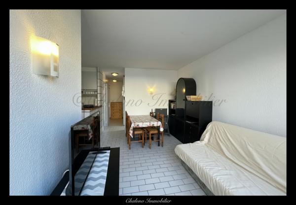 Agde (34300) DEPT 34 - LE CAP D’AGDE. APPT T2. TERRASSE, ASCENSEUR