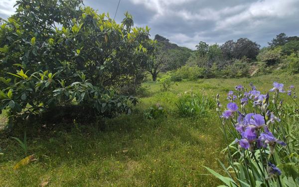 Maison à vendre    5 pièces •  Saint-Alexandre