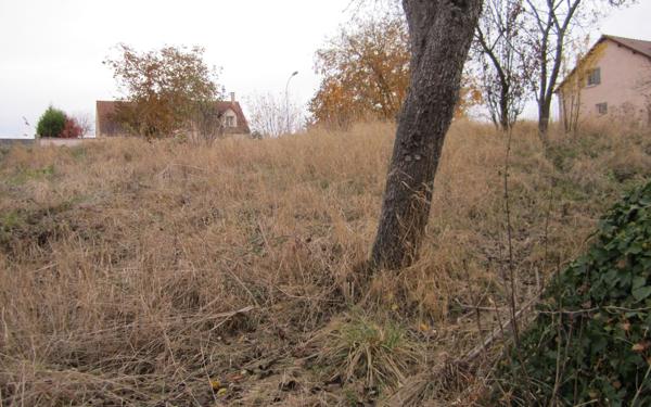 Terrain à vendre    Venouse