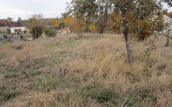 Terrain à vendre    Venouse