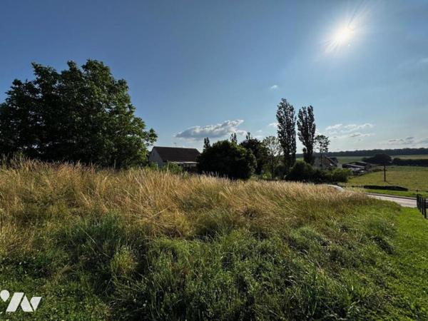 ROMANGE - terrain à bâtir - parcelle de 564m²