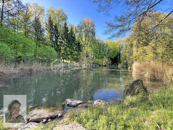 A 15 minutes de Berry au bac, 15 minutes de Laon.
Vend coin de paradis avec cet étang d’exception, niché au cœur d’un écrin de verdure de 7 250 m², entièrement clos et soigneusement arboré.
Son plan d’eau de 2 500 m², atteignant jusqu’à 2 mètres de profondeur, toujours en eau été comme hivers.
Ce lieu ravira les pêcheurs les plus exigeants avec une belle diversité de poissons : carpes amours, carpes cuir, gardons et perches...
Un chalet complète ce bien, Barbecue, puit et toilettes sèches.
Facilité d'accès: caravane, voiture, camping car...deux entrée.
Un bien rare, idéal pour se reconnecter à l’essentiel.