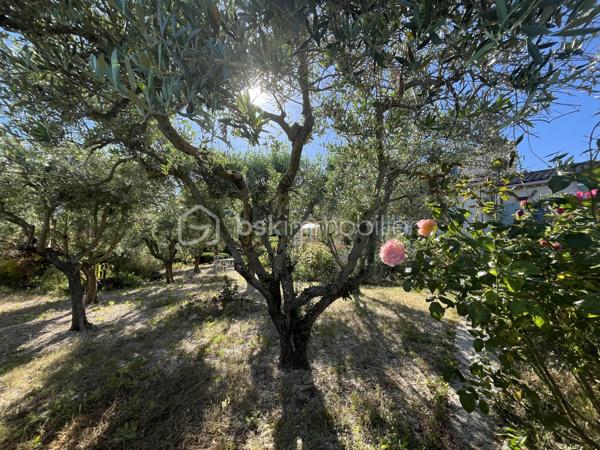 Située sur les hauteurs de Manosque, dans un quartier calme et recherché, cette maison construite en 1996 offre un cadre de vie privilégié sur un terrain clos de 1 154 m².

D’une surface habitable d’environ 130 m², elle se compose de trois chambres, dont une suite parentale avec sa salle de bains privative. Une seconde salle de bains complète l’espace nuit.

La maison est en excellent état général et bénéficie de prestations de qualité :

* Double vitrage
* Pompe à chaleur
* Garage de 30 m²
* Eau de canal pour l’arrosage
* Terrain entièrement clos

Aucun gros travaux n’est à prévoir. Seuls quelques travaux de rafraîchissement ou de personnalisation pourront être envisagés selon vos envies.

Les atouts de cette maison :

* Construction de 1996
* 130 m² habitables
* Terrain clos de 1 154 m²
* 3 chambres, dont une suite parentale
* 2 salles de bains
* Garage de 30 m²
* Pompe à chaleur
* Double vitrage
* Environnement paisible et recherché sur les hauteurs de Manosque