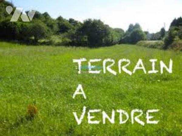 Terrain à bâtir