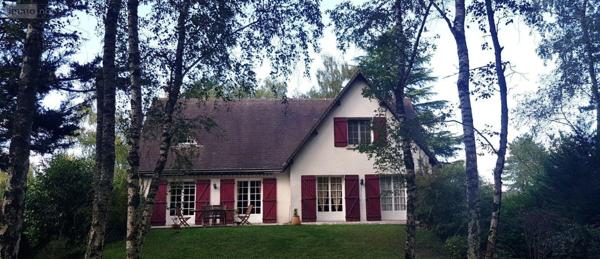 Maison à vendre à Châtillon-sur-Cher dans le Loir-et-Cher (41130), ref : 41036/3106