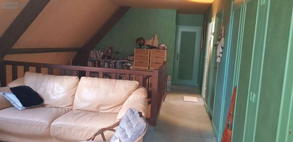 Maison à vendre à Châtillon-sur-Cher dans le Loir-et-Cher (41130), ref : 41036/3106