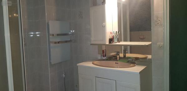 Maison à vendre à Châtillon-sur-Cher dans le Loir-et-Cher (41130), ref : 41036/3106