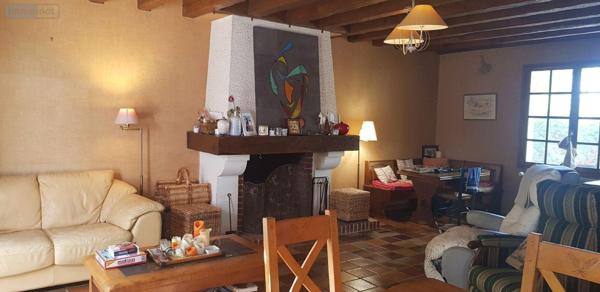 Maison à vendre à Châtillon-sur-Cher dans le Loir-et-Cher (41130), ref : 41036/3106