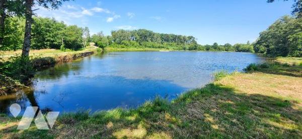 Terrains loisirs, bois et étangs à vendre à Branges (71500) en Saône-et-Loire (71)

À vendre ...