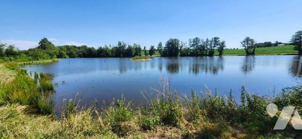 Terrains loisirs, bois et étangs à vendre à Branges (71500) en Saône-et-Loire (71)

À vendre ...