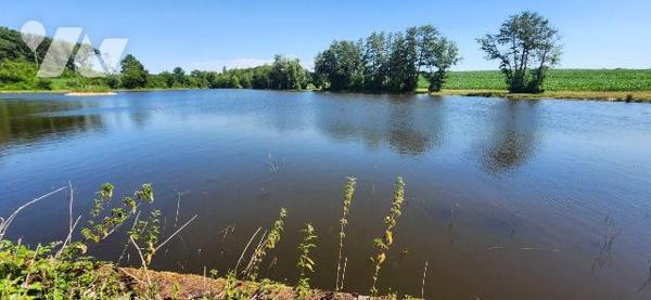 Terrains loisirs, bois et étangs à vendre à Branges (71500) en Saône-et-Loire (71)

À vendre ...