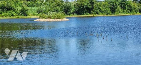 Terrains loisirs, bois et étangs à vendre à Branges (71500) en Saône-et-Loire (71)

À vendre ...