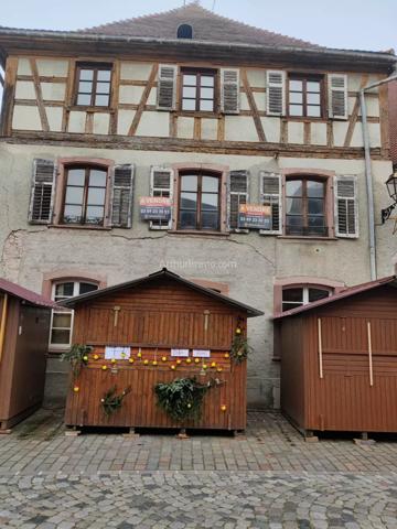 Vente Immeuble 364 m2 à Bergheim