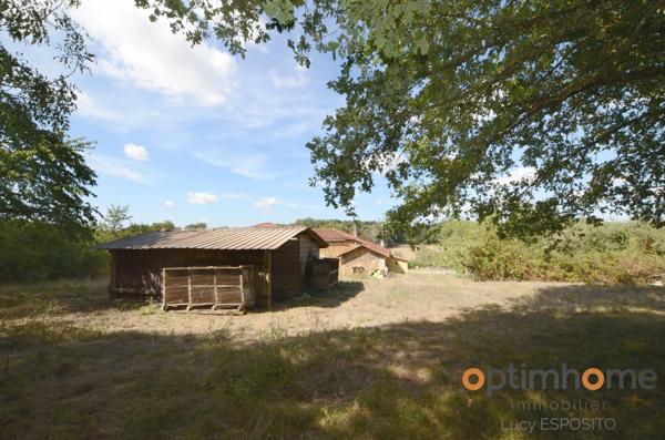 🏡 Charmante fermette sur 1.2 hectare – Idéale pour chevaux, animaux ou projet de petite exploitation ! 🐴🌿