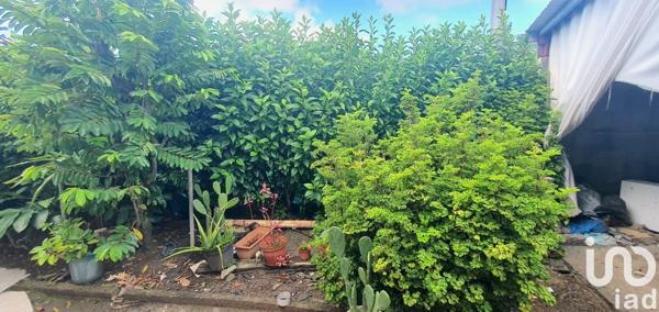 Maison 4 pièces de 65 m² à Sainte-Luce (97228)