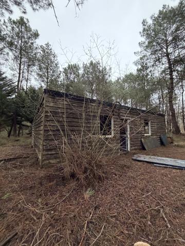 Challans (85300) CHALLANS - PARCELLE BOISEE NON CONSTRUCTIBLE AVEC CABANON