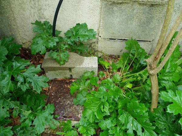 Terrain constructible et viabilisé, proche centre ville de Carcassonne