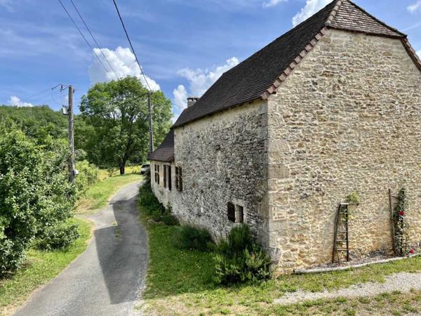 Maison ancienne - Thenon En Périgord Noir entre Montignac-Lascaux et Hautefort: ensemble de deux gîtes de caractère avec piscine sur 4000 m² de terrain.