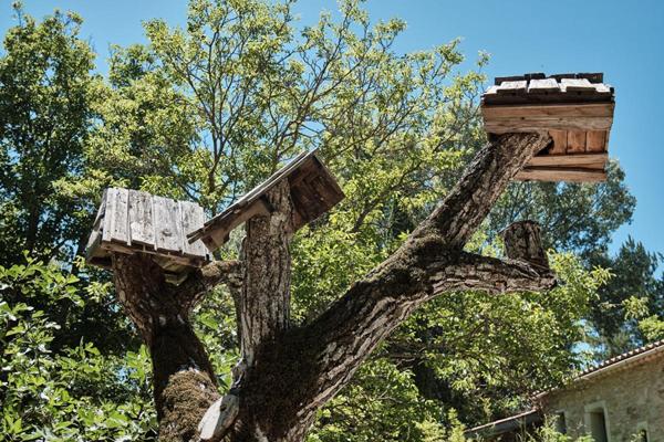 En Provence, Propriété d'Exception composée de diverses maisons en pierre pour plus de 1000 m² de bâti sur 6.3 HA
