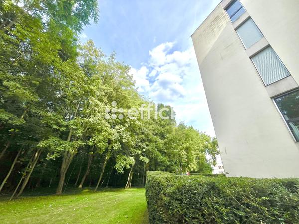 Appartement 4 pièces - 91 m²