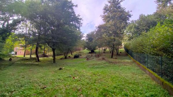 Terrain à bâtir boisé