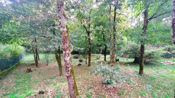 Terrain à bâtir boisé
