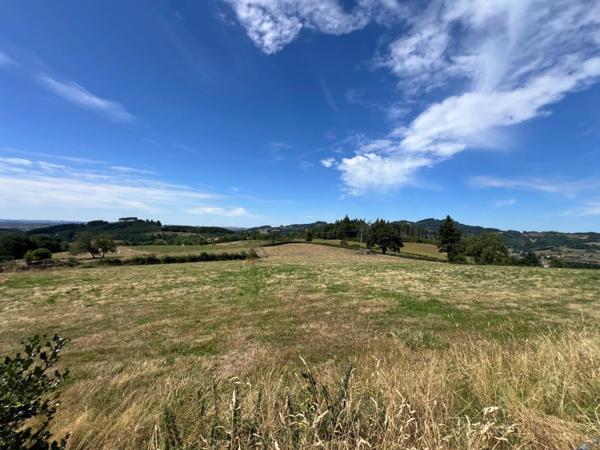 Propriete à vendre 6 pièces CHAUFFAILLES (71)