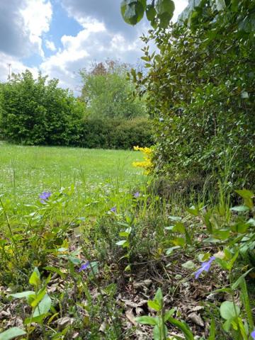 RARE SENE terrain constructible  viabilisé proche du bourg 521M2