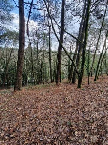 Terrain de loisirs - Bois - Etang à vendre à Plumelec dans le Morbihan (56420), ref : 56056-1092684