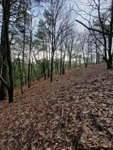 Terrain de loisirs - Bois - Etang à vendre à Plumelec dans le Morbihan (56420), ref : 56056-1092684