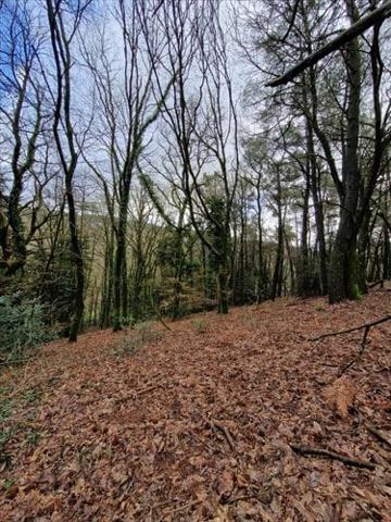 Terrain de loisirs - Bois - Etang à vendre à Plumelec dans le Morbihan (56420), ref : 56056-1092684