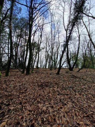Terrain de loisirs - Bois - Etang à vendre à Plumelec dans le Morbihan (56420), ref : 56056-1092684