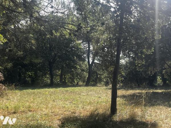 Bastide provençale de type 5/6 avec terrain arboré de 4500m2