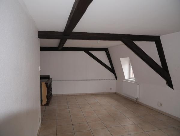 Location Appartement 3 pièces Sélestat (67600) - CV