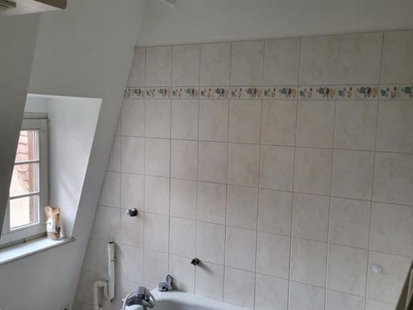 Location Appartement 3 pièces Sélestat (67600) - CV