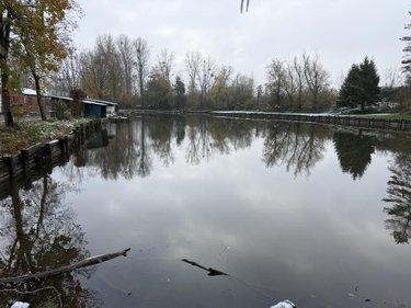 Divers à vendre à Landrecies dans le Nord (59550), ref : 59191-6102