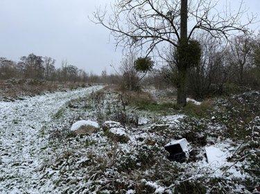 Divers à vendre à Landrecies dans le Nord (59550), ref : 59191-6102