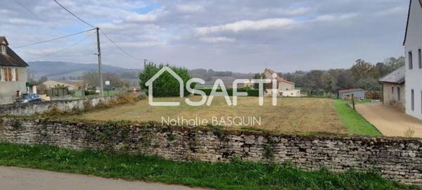 Terrain constructible de 2965 m2