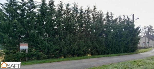 Terrain constructible de 2965 m2