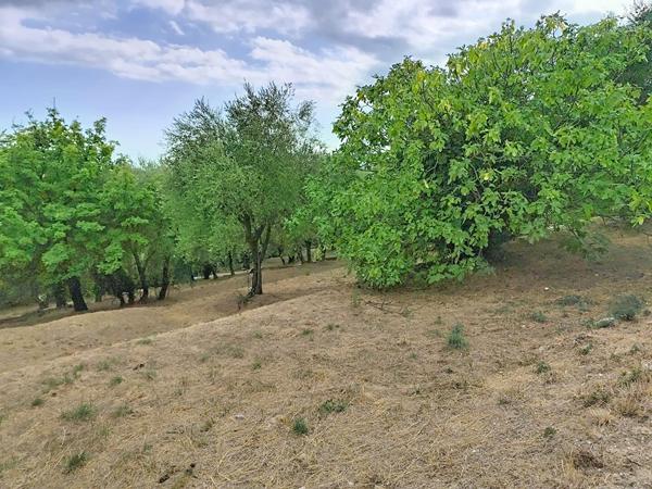 Terrain à vendre 1420 m² avec vue dégagée à Grasse - Saint Jacques