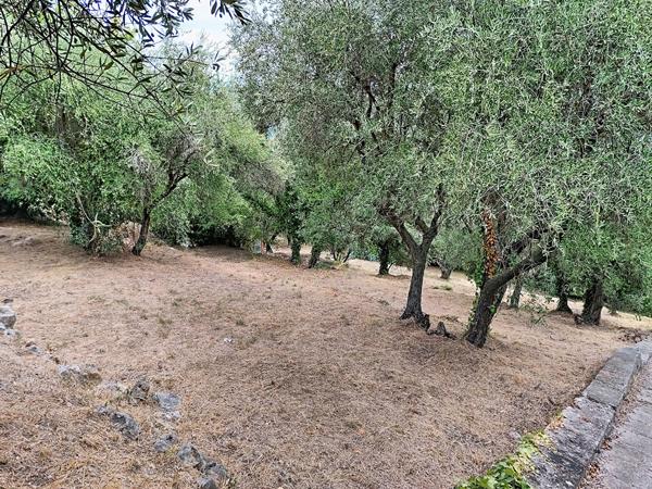 Terrain à vendre 1420 m² avec vue dégagée à Grasse - Saint Jacques