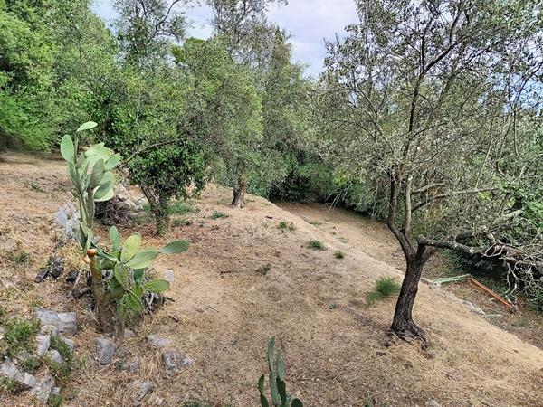 Terrain à vendre 1420 m² avec vue dégagée à Grasse - Saint Jacques