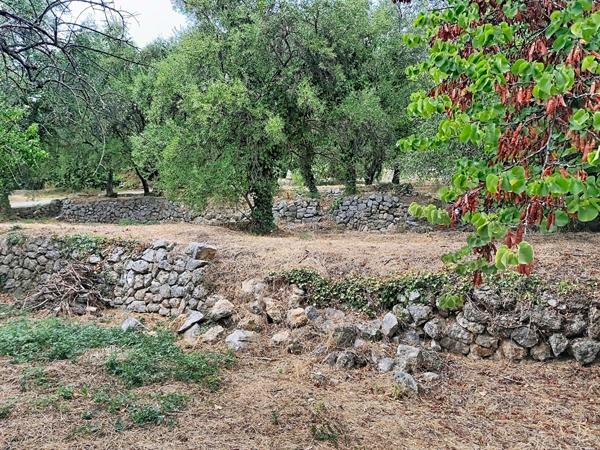 Terrain à vendre 1420 m² avec vue dégagée à Grasse - Saint Jacques