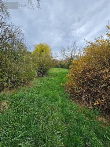 Terrain à Batir à vendre à Mérignies dans le Nord (59710), ref : 59007-1841