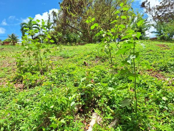 Terrain de 1 059m² situé dans la commune du Saint-Esprit