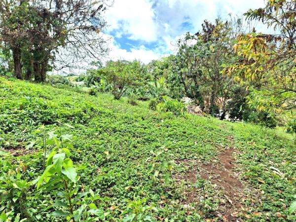 Terrain de 1 059m² situé dans la commune du Saint-Esprit