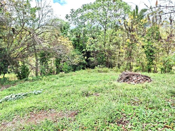 Terrain de 1 059m² situé dans la commune du Saint-Esprit